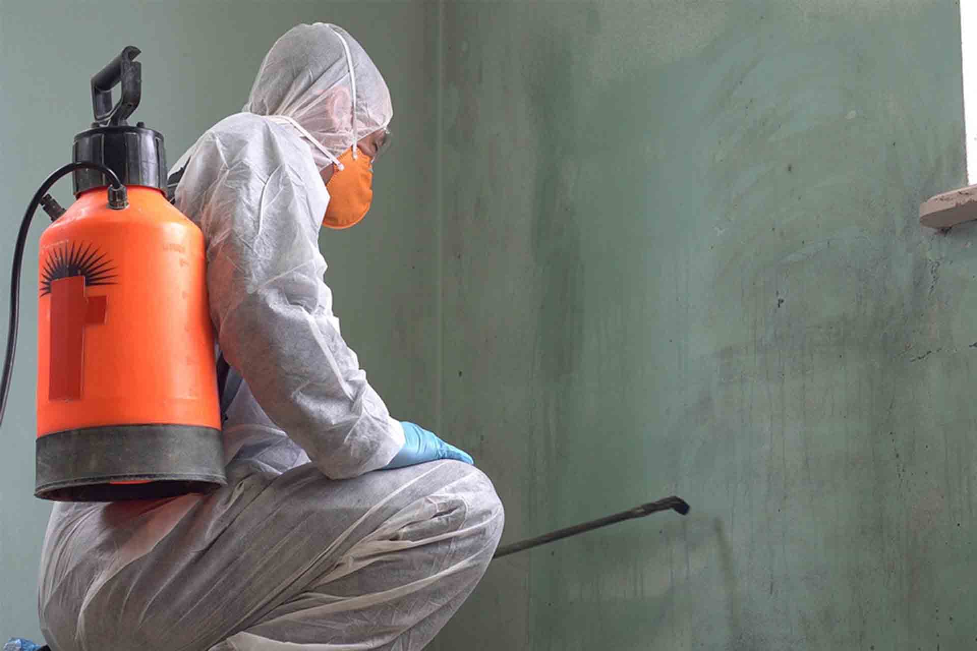 Mould Treatment